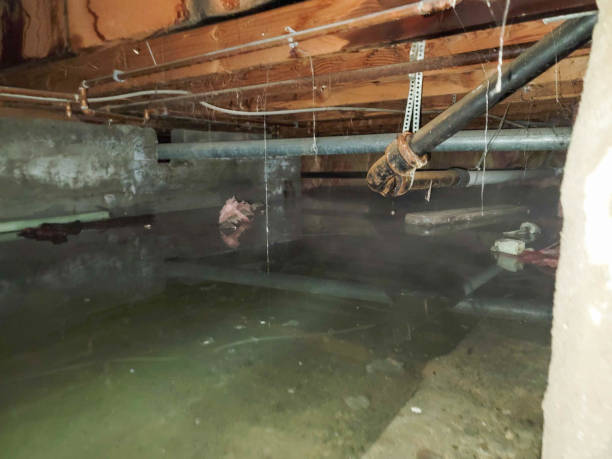 Reliable Lakehills, TX Water damage restoration Solutions