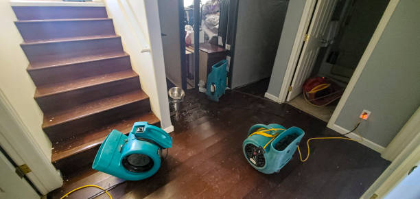 Best Flood damage cleanup  in Lakehills, TX