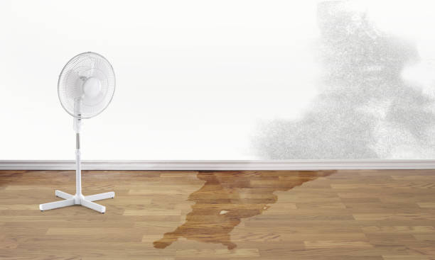 Water damage restoration insurance claims in Lakehills, TX