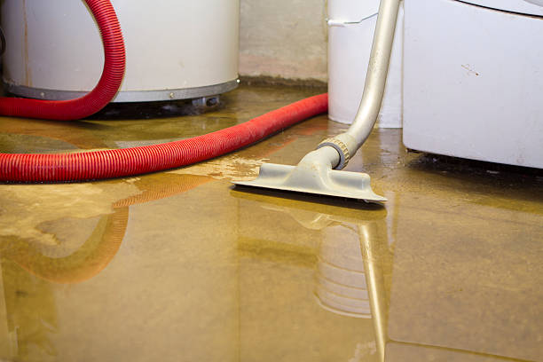 Best Water damage cleanup near me  in Lakehills, TX