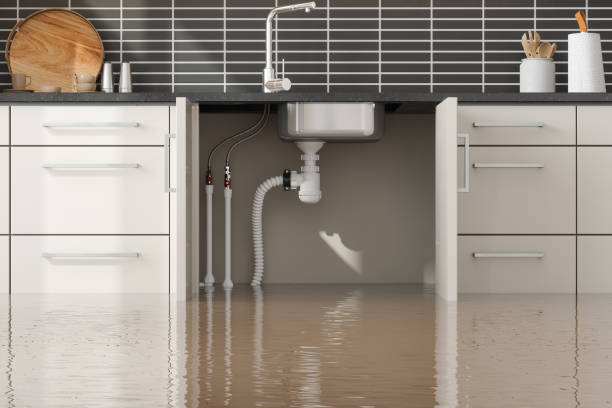 Best Basement water damage restoration  in Lakehills, TX